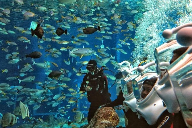 Bali Ocean Walker - The Helmet and the Underwater Walk