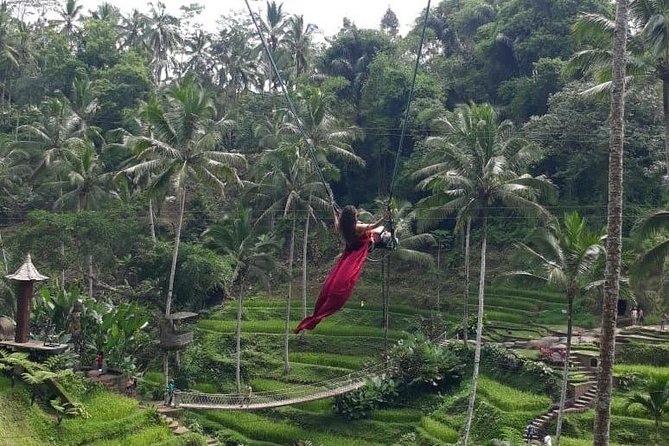 Bali Private 3 Days Tour Package Highlight - Who Should Book This Bali Tour