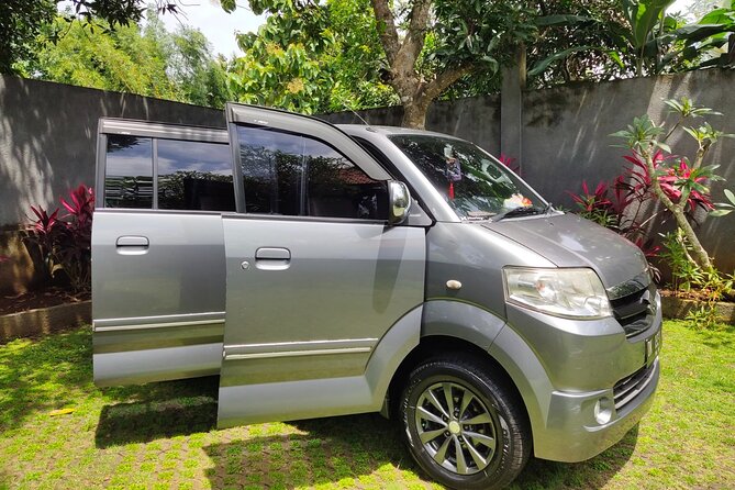 Bali Private Car and Customize Tour With English Speaking Driver - Tirta Empul and the meaning of the water ritual