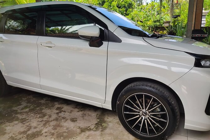 Bali Private Car and Customize Tour With English Speaking Driver - Mount Batur without the sunrise climb