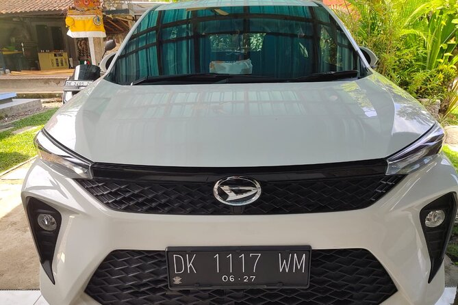 Bali Private Car and Customize Tour With English Speaking Driver - Tegenungan Waterfall and a short walk