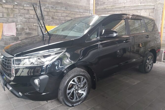 Bali Private Car Charter - The car, group size, and comfort