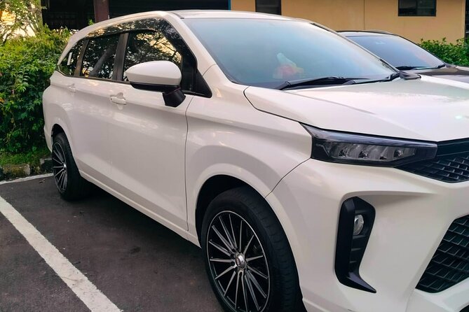 Bali Private Car Charter & Customize Tour With Driver English Speaking-Free WiFi - A private car is the real attraction