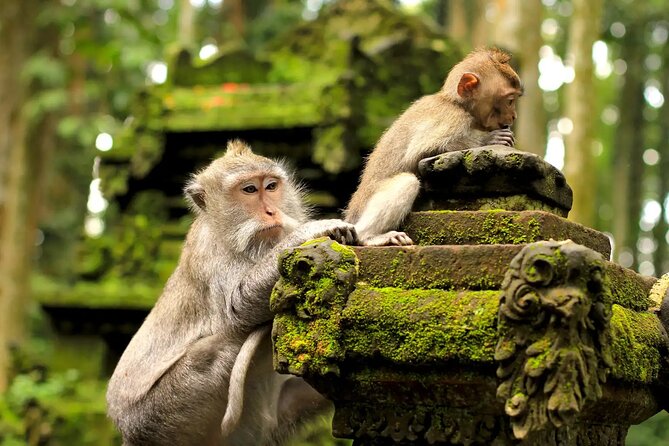 Bali Private Car Charter & Customize Tour With Driver English Speaking-Free WiFi - South Bali: cliffs, seafood, and sunset timing
