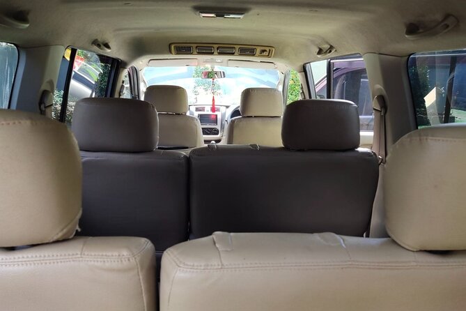 Bali Private Car Charter & Customize Tour With Driver English Speaking-Free WiFi - Markets, crafts, and an easier cultural day