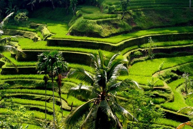Bali Private Car Charter with English Speaking Driver - East Bali: water palaces, beaches, and the Gates of Heaven