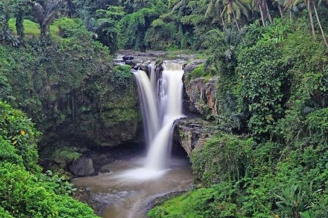 Bali Private Car Charter with English Speaking Driver Or Guide - Photo help and friendly guiding