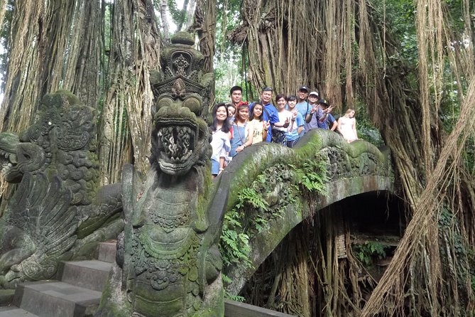 Bali Private Car Charter with English Speaking Driver Or Guide - Vehicle size, comfort, and group limits