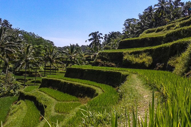 Bali Private Car Charter with English Speaking Driver - Choosing the right route from Kuta