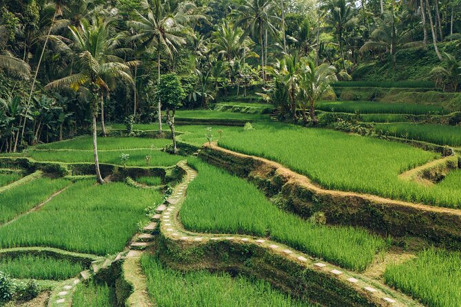 Bali Private Car Full Day Customized Tour With Drone Service - Waterfalls, beaches, and the southern coast
