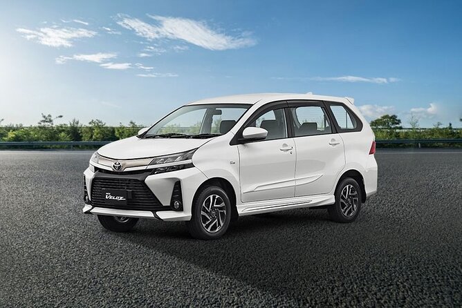Bali Private Car Hire with Driver - Ubud temples, markets, and green walks