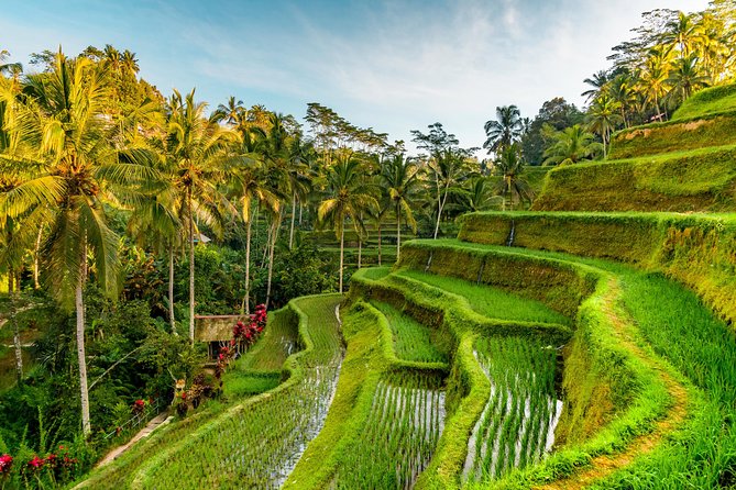 Bali Private Car Hire with Driver - Price, inclusions, and the small extra charges