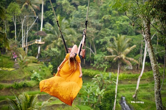 Bali Private Car Hire with English-Speaking Driver - Sacred Monkey Forest: Temples Among the Trees