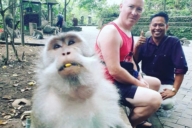 Bali Private Custom Tour - Bali Car Hire with Driver - Why a private car makes sense in Bali