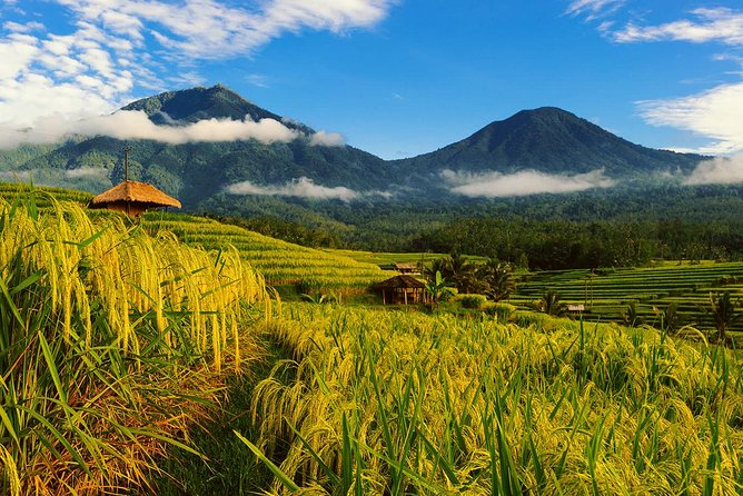 Bali Private Driver - Bali customized private tour - Key points at a glance