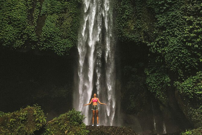 Bali Private Driver & Tour Guide - Key points at a glance