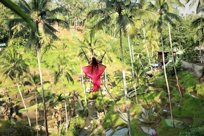 Bali Private Full Day Tour to Visit the Best Waterfalls and Swing near Ubud - Bali Pulina adds farming and coffee to the day