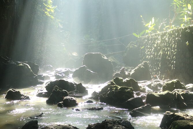 Bali Private Full Day Tour to Visit the Best Waterfalls and Swing near Ubud - How the schedule feels in real use