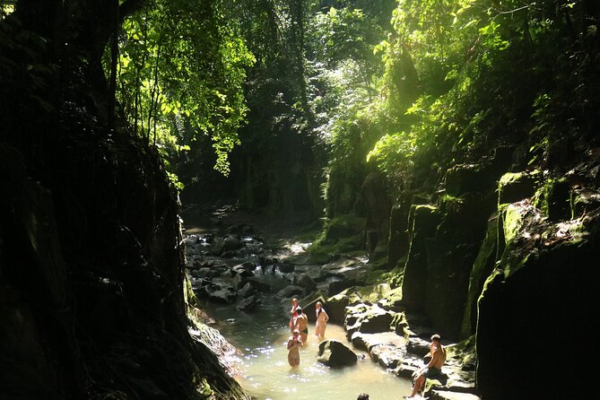 Bali Private Full Day Tour to Visit the Best Waterfalls and Swing near Ubud - What to bring and how to prepare