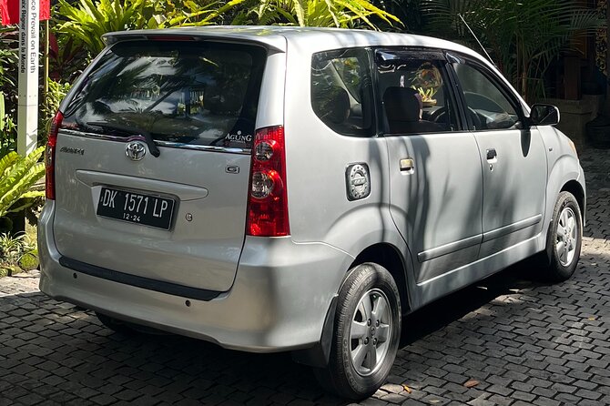 Bali Private Full Day Tour to Visit the Best Waterfalls and Swing near Ubud - The Ubud swing stop is built for photos