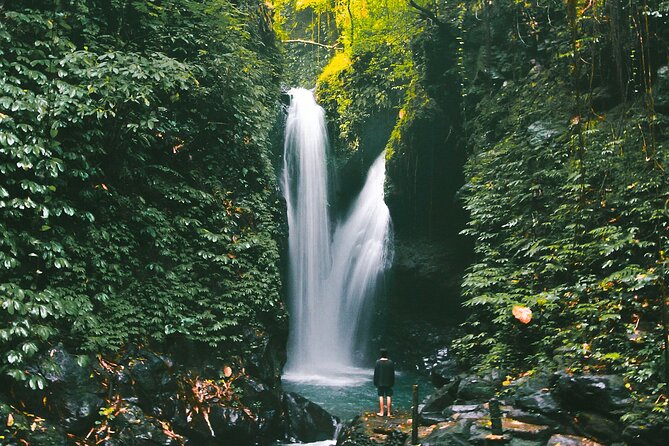 Bali : Private Fullday trip, Discover North Bali Destination - Handara Gate and the photo stop