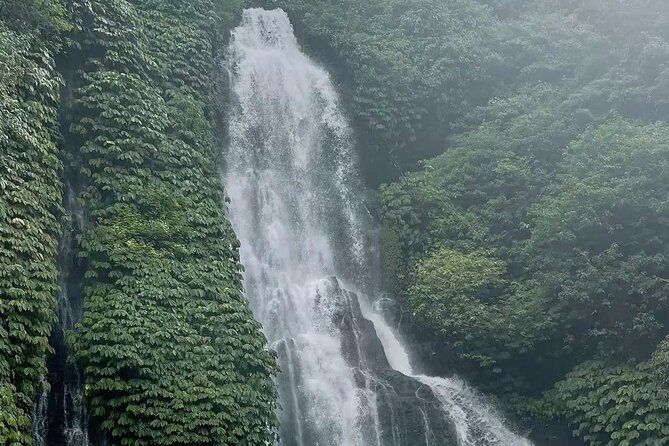 Bali : Private Fullday trip, Discover North Bali Destination - Fruit markets, coffee, and local contact