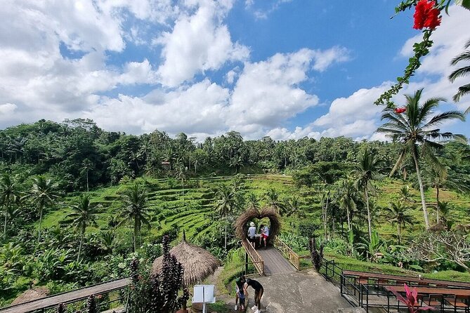 Bali Private inclusive tour: Best of Ubud in a Day - Tegalalang Rice Terrace and a walk among the paddies