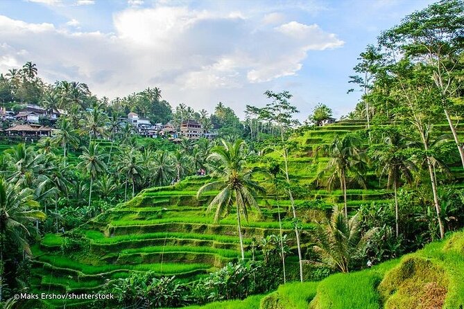 Bali Private inclusive tour: Best of Ubud in a Day - Batuan Temple and the first look at Balinese worship