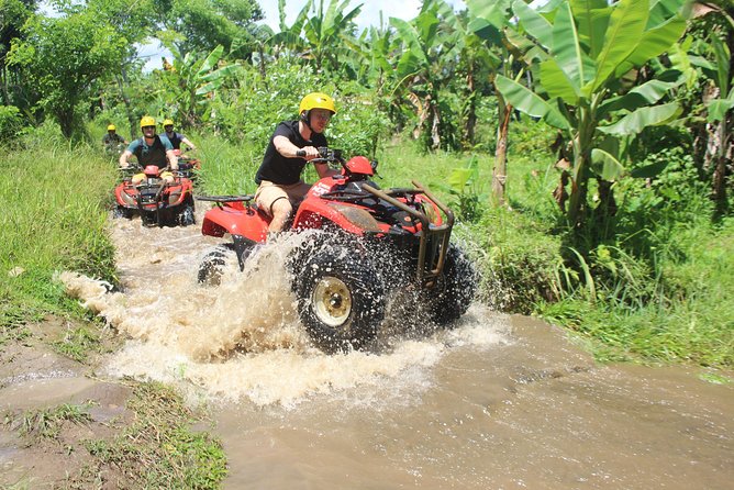 Bali Private Tour Guide And Driver - What Agung adds as a guide