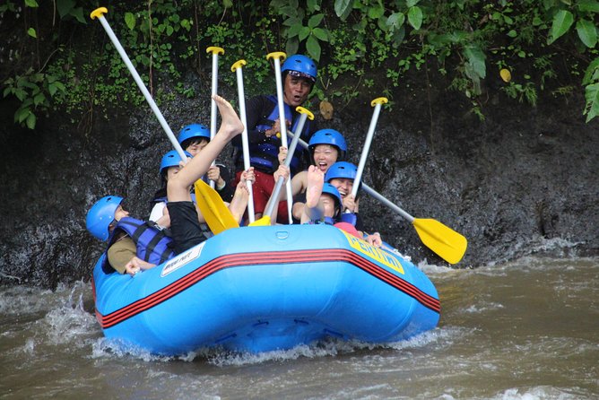 Bali Private Tour Guide And Driver - Who will get the most from this tour