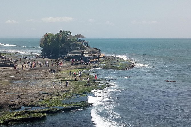 Bali Private Tour Guide And Driver - Ubud for culture, villages, and rice terraces