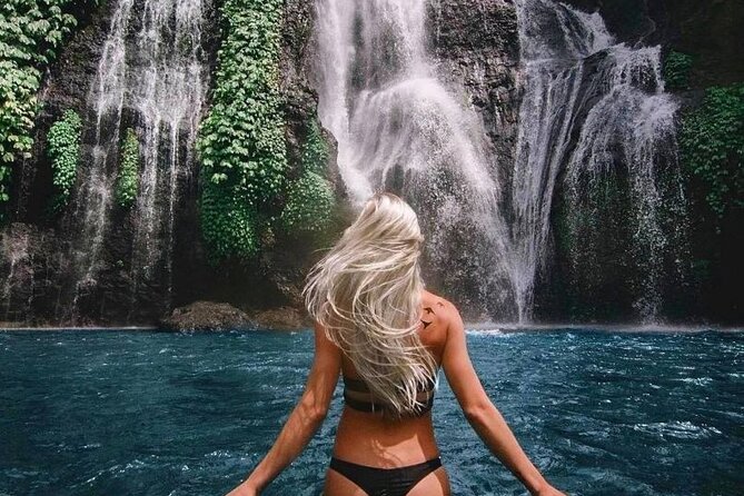 Bali Private Tour: Handara Iconic Gate, Watefall and Temple - Why this northern Bali day works so well