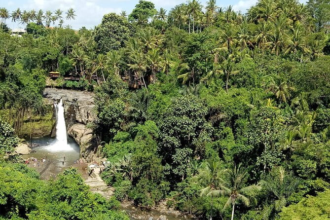 Bali Private Tour: Waterfall, Monkey forest and Tanah lot sunset - Why this private Bali day trip works