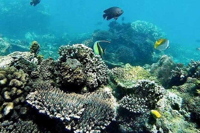 Bali Private Tour: Waterfall, Monkey forest and Tanah lot sunset - Who should book this experience?