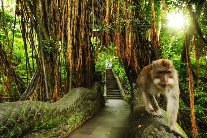 Bali Private Tour: Waterfall, Monkey forest and Tanah lot sunset - Tegenungan Waterfall, Bali’s first nature stop