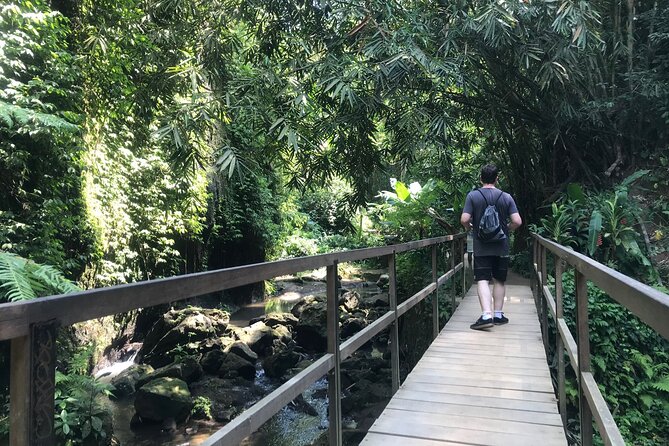 Bali Quad Adventure with Waterfall Tour - Lunch, showers, and the useful extras