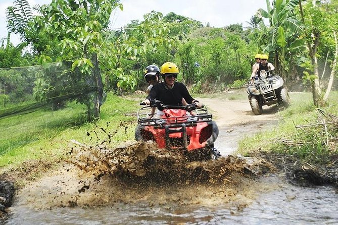 Bali Quad Bike Through Gorilla Cave - Monkey Forest and Waterfall - Meeting the macaques at Sacred Monkey Forest