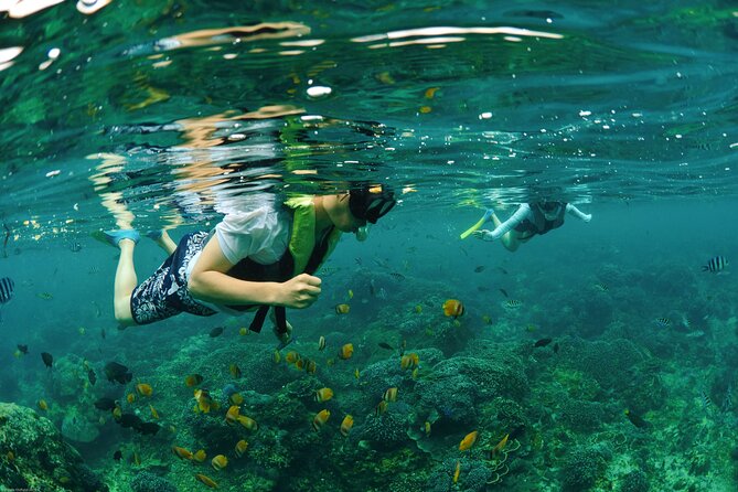 Bali Reef Cruise and Lembongan Island Day Trip - Extra activities and how to choose them