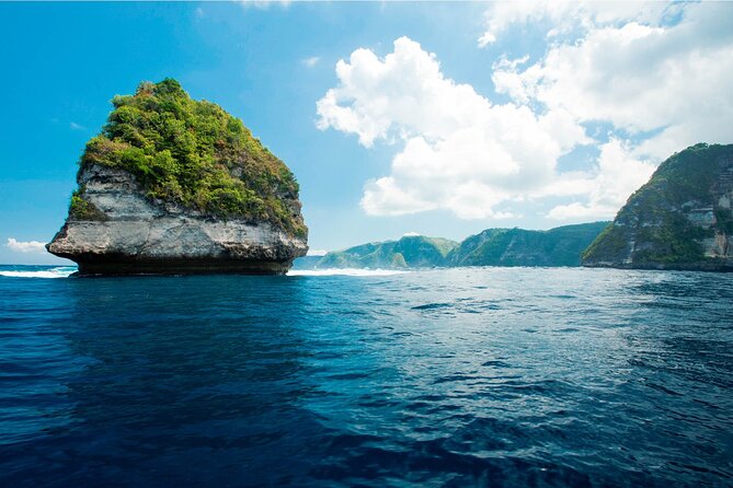 Bali Reef Cruise and Lembongan Island Day Trip - Who will enjoy this day most
