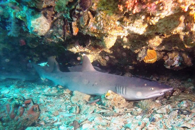 Bali Scuba Diving at Padang Bai for Certified Diver - The road to Padang Bai