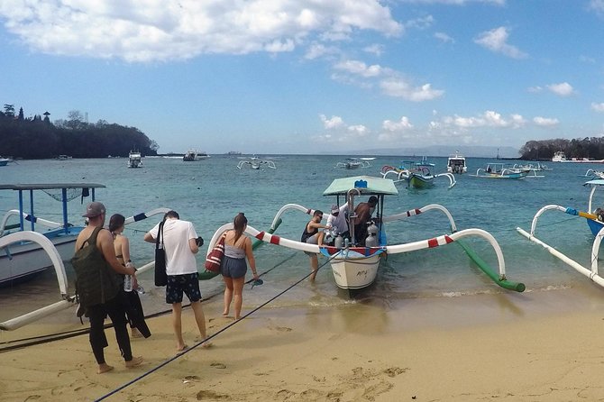 Bali Scuba Diving at Padang Bai for Certified Diver - Two guided boat sessions in the morning