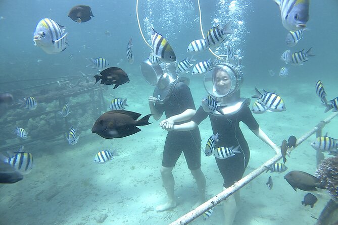 Bali Seawalker - What the 90-minute outing actually feels like