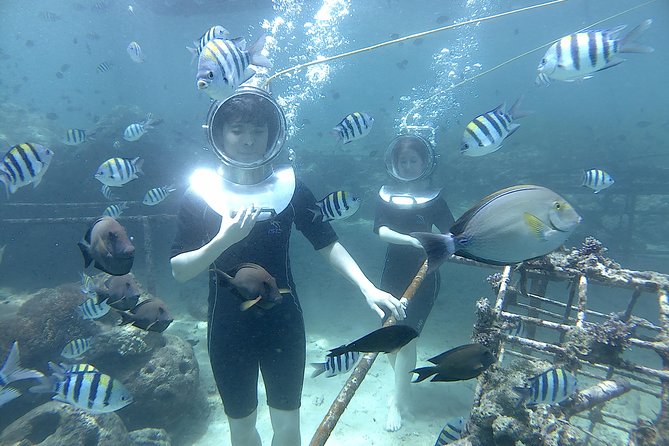 Bali Seawalker - Timing your Bali plans around the water