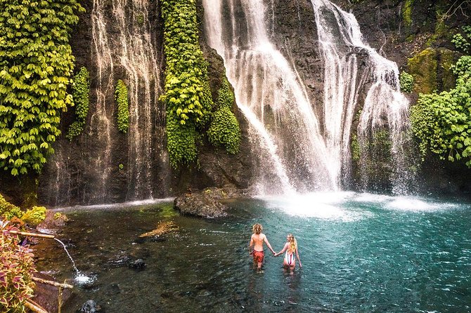 Bali Secret Waterfall Tour - Private and All-Inclusive - The private format makes a real difference