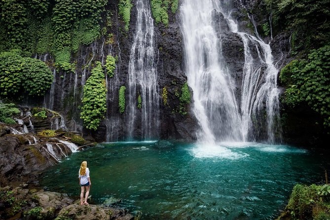 Bali Secret Waterfall Tour - Private and All-Inclusive - Who will enjoy this most