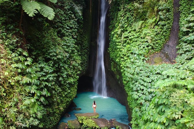 Bali Secret Waterfall Tour - Private and All-Inclusive - Lunch with a view, not just fuel