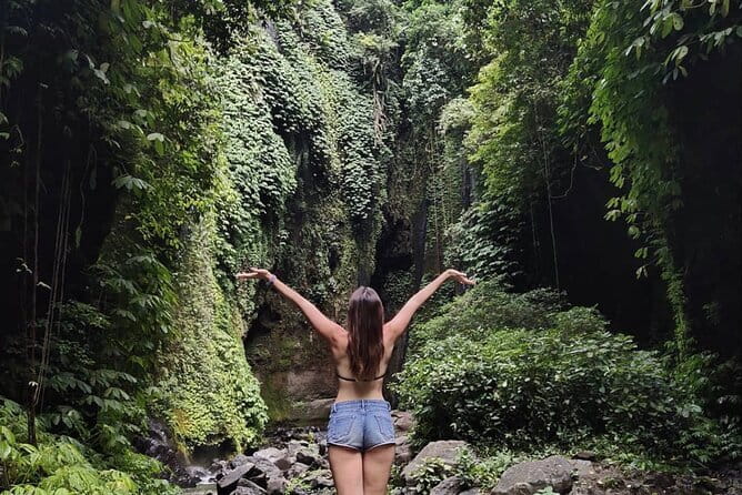 Bali Sekumpul with Fiji Waterfall & Bedugul Temple (Private Tour) - What $55 per person really buys you