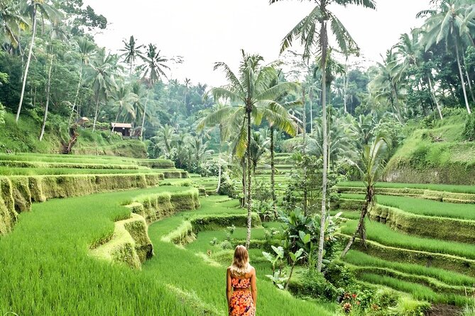 Bali Shore Excursions : Best of Bali Tour - What the $25 price really covers