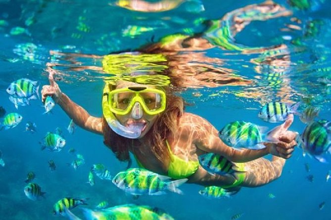 Bali Snorkeling at Blue Lagoon with Transport and Lunch - Tanjung Jepun and the limits of nature