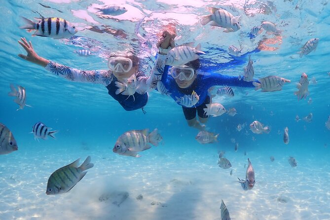 Bali Snorkeling Blue Lagoon with lunch &Optional waterfall Visit - Lunch after the morning on the water